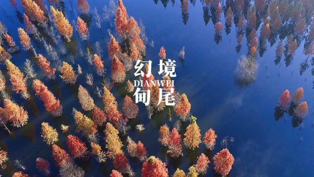 电梯开关哪个是开门哪个关门